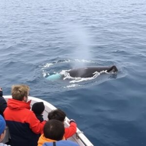 Outdoor Adventures and Wildlife